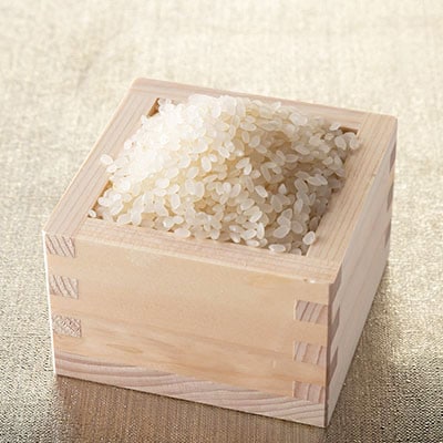 【毎月定期便】宮城県登米市産 ひとめぼれ(精米) 5kg×2袋セット全4回【4075498】