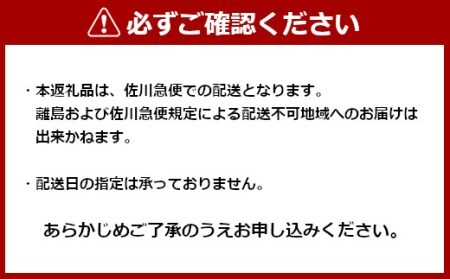 12P158 新潟白色（ホワイト）／柿の種屋さんのおコメ のめん 平麺675ｇ×3袋 阿部幸製菓 米粉