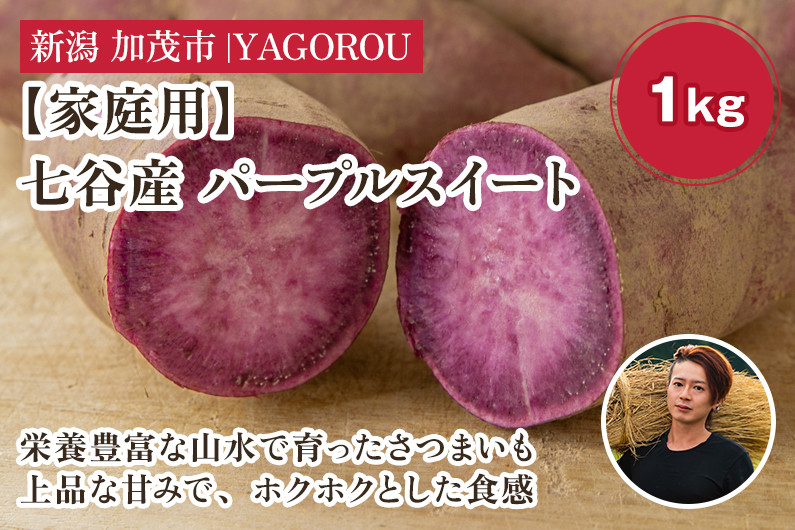 
            【家庭用】パープルスイート 1kg（A品・B品混在） 新潟県加茂市七谷産 さつまいも《11月下旬〜順次発送》 サツマイモ お芋 焼き芋 スイートポテト 野菜 根菜 低温熟成 加茂市 YAGOROU ヤゴロウ
          