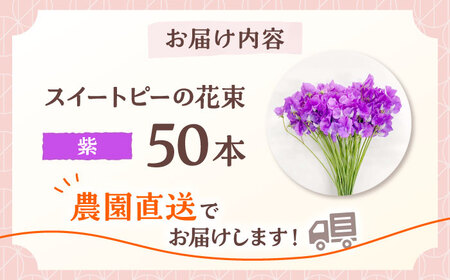【R7年度12月以降発送】スイートピー 花束 50本（紫） / 花 【[IBW008]