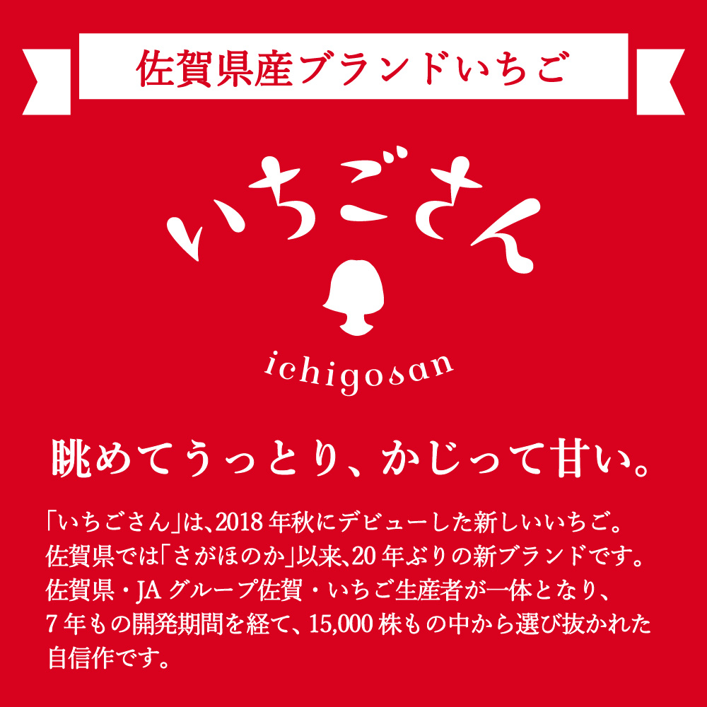 【先行予約】伊万里産 特選「いちごさん」 450g 以上× 2パック ～鶴田農園～ 046-B833