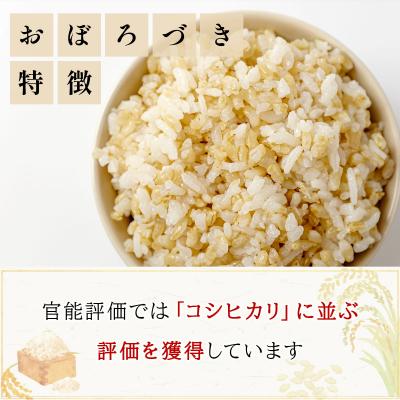 ふるさと納税 岩見沢市 令和7年産!ファーム坂口の特別栽培米 おぼろづき玄米15kg(5kg×3) |  | 01