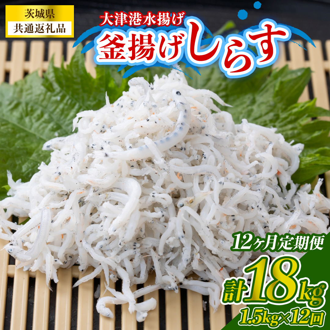 【12回定期便】大津港水揚げの釜揚げしらす 1.5kg(250g×2パック×3箱) (茨城県共通返礼品:北茨城市) (BC028)