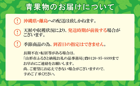 ☆フルーツ王国山形☆さくらんぼ 佐藤錦 Lサイズ 360g(180g×2パック) 【令和9年産先行予約】FS25-558