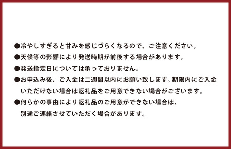 植木ブランド 小玉すいか 約2.3kg 2玉 ひとりじめ  春スイカ 植木 スイカ 西瓜 果物 フルーツ セット 【2026年5月上旬～5月下旬迄順次発送予定】