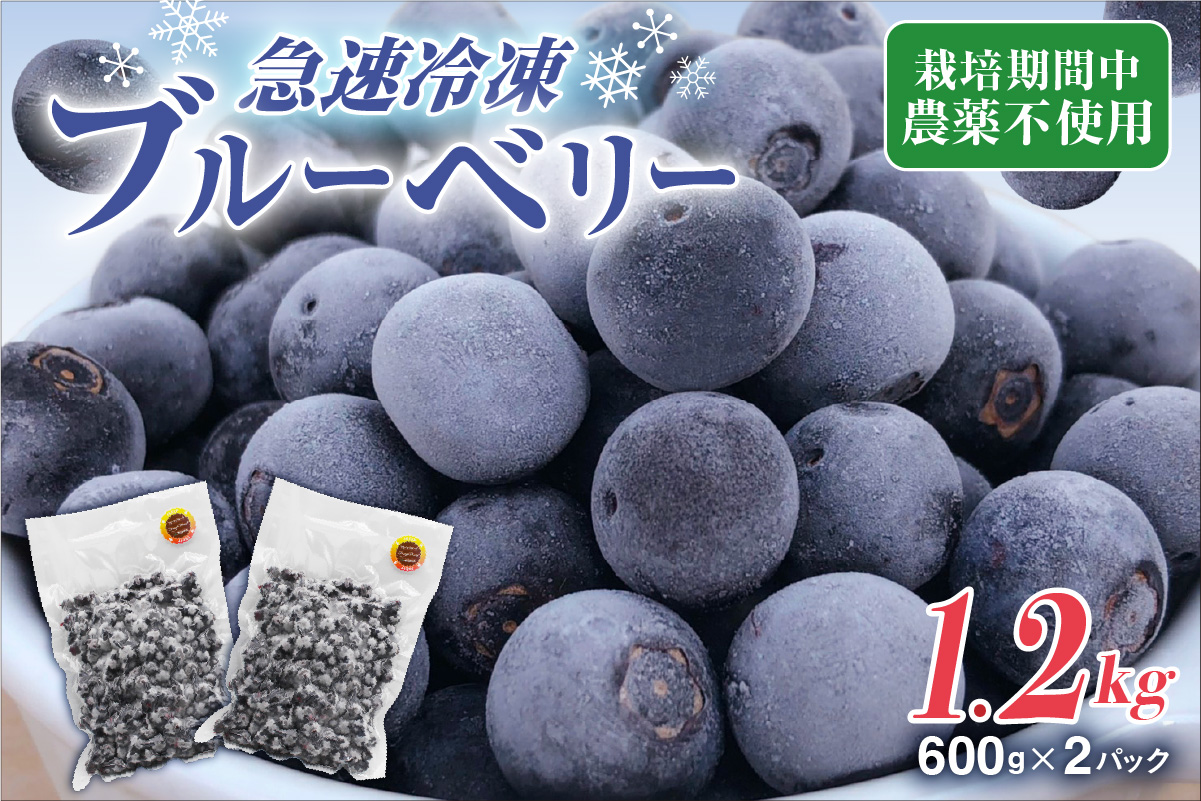【2026年8月下旬ごろ再開予定】栽培期間中農薬不使用！急速冷凍ブルーベリー 1.2kg 【JAほたるの里】_HA1517