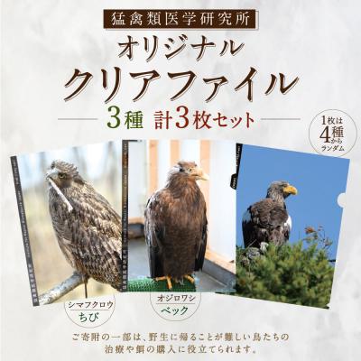 ふるさと納税 釧路市 【 7日程度で発送 】 猛禽類医学研究所オリジナルクリアファイル 3種セット