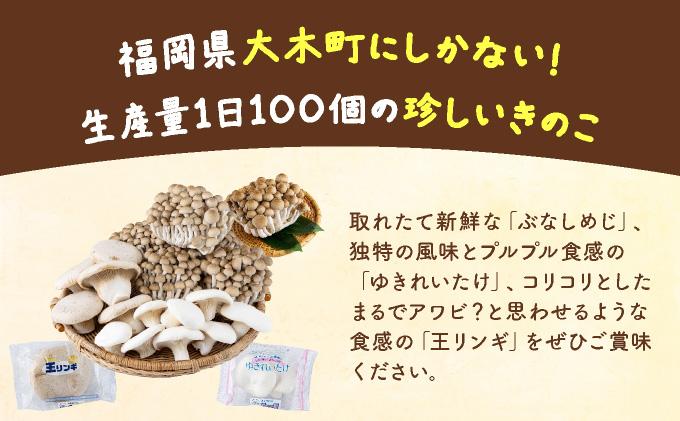 食欲の秋！きのこの詰め合わせ(ぶなしめじ・ゆきれいたけ・王リンギ各3パック)AT16 3パック