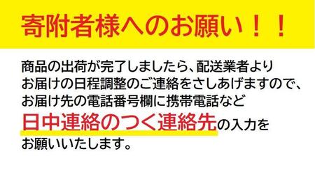 ヱビス自転車　子供乗せ自転車 パテオ226 電動なし シマノ製外装6段変速 OGK製後子供乗せ付 RBC-017DX ZERO Plus【マットカーキ】