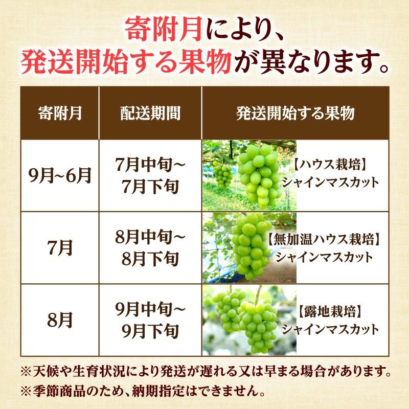 M02-0202_【ふるさと納税】【配送不可地域：北海道・沖縄県・離島】大箱 シャインマスカット 3ヶ月連続 定期便 定期 果物定期便 果物 フルーツ定期便 フルーツ マスカット ハウス 露地 栽培 