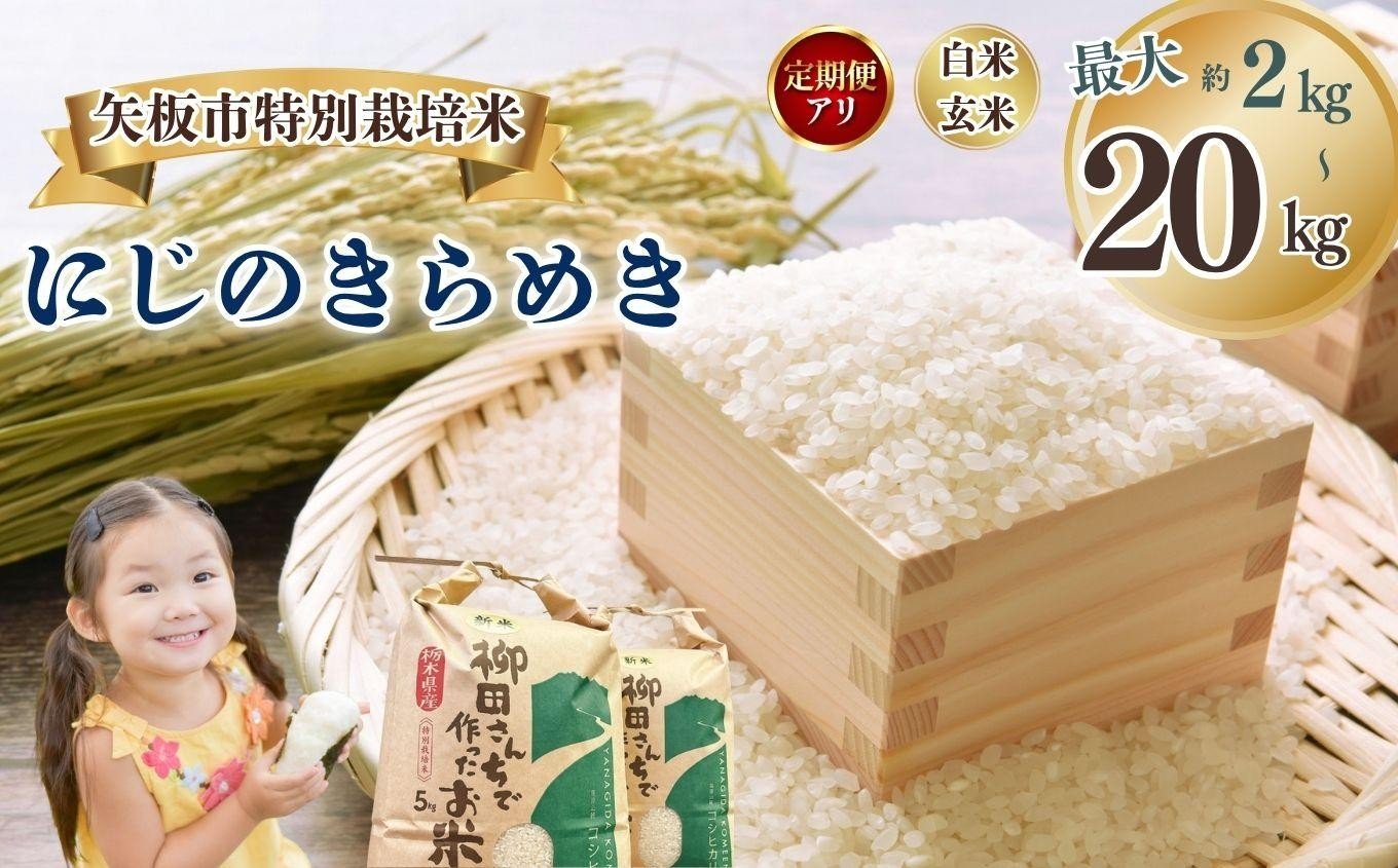 
            [選べる定期便、グラム数]矢板市特別栽培米 にじのきらめき 玄米 白米 2kg 5kg 10kg 20kg | お米 米 こめ 白米 玄米 にじのきらめき コシヒカリ こしひかり 美味しい お弁当 選べる エコ スマート 環境 手間暇 土づくり  ふるさと 納税 栃木県 矢板市
          