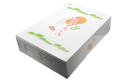 【特秀】山形の極上 ラフランス 特秀品 約5kg(12～16玉)[12月お届け] FZ23-313