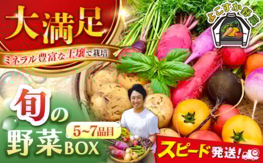 【最短1週間以内発送】すずなり採れたて野菜BOX（5〜7品目）野菜セット 詰め合わせ 季節野菜 やさい 産地直送 旬 新鮮 横須賀 【鈴也ファーム】 [AKCE001]