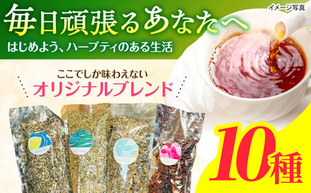 ブレンドハーブティ　50g×10種類　/　ハーブ　ハーブティー　お試し　ペパーミント　カモミール　/　諫早市　/　一般財団法人　小長井振興公社[AHDK005]