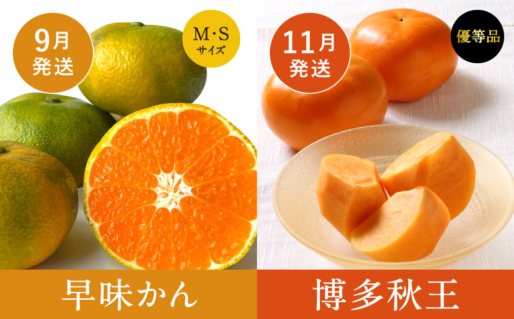 【福岡県産 特産品 年6回定期便】うまもぐ厳選 野菜果物セット