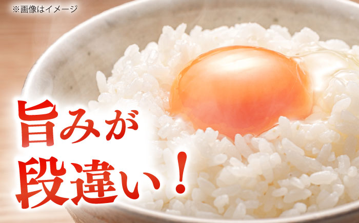 【令和7年産】【3回定期便】島根が誇るブランド米！仁多米「大峠源流米」5kg(5kg×1) 島根県松江市/有限会社藤本米穀店 [ALCG057]
