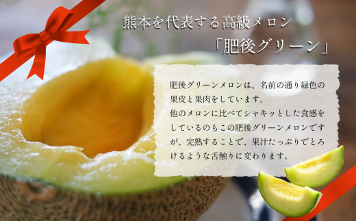メロン 肥後グリーン 2玉 玉名市産 | フルーツ 果物 くだもの 高級 メロン 熊本県 玉名市