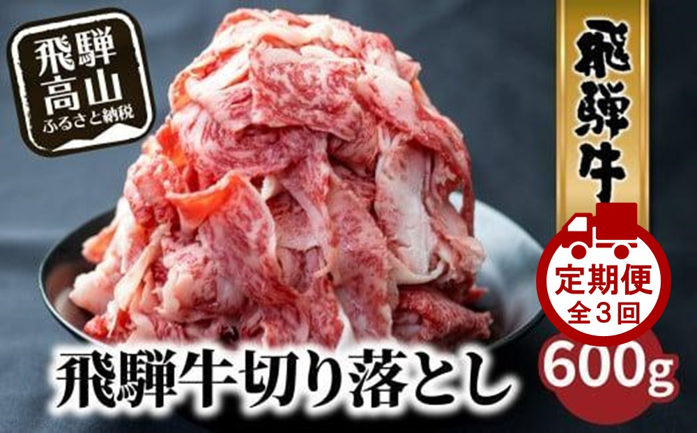 【定期便全3回】飛騨牛 訳あり 切り落とし600g ｜牛肉 飛騨牛 牛肉 切り落とし 飛騨高山 株式会社丸明 LR104