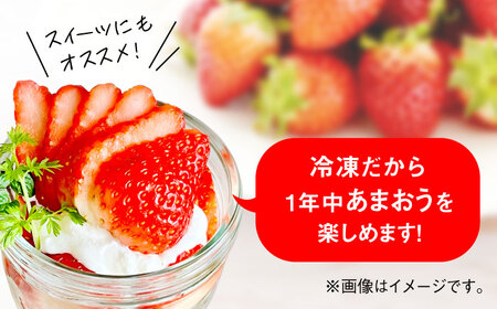 福岡県産【博多冷凍あまおう】約500g×4袋 合計約2kg《築上町》【株式会社H&Futures】 [ABDG007] 14000円 