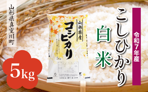 ＜令和7年産＞ こしひかり 【白米】 5kg （5kg×1袋）＜配送時期選べます＞　真室川町