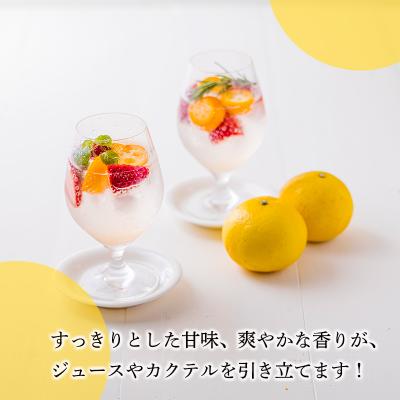 ふるさと納税 高原町 さっぱりと爽やかな宮崎ならではの味『日向夏』の手搾り果汁1L(業務用) TF820 |  | 03