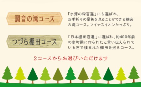 P770-01 【参加型体験】リフレッシュ&デトックス～心癒されるうきはの森林セラピー～