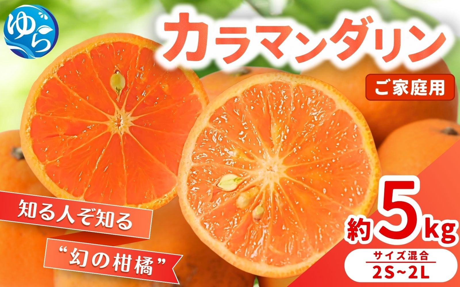 
            【来シーズン 先行予約】≪家庭用≫カラマンダリン 約5kg ※2026年3月下旬～順次発送 農家直送 / くだもの  果実  柑橘 果物 フルーツ 国産 和歌山県 由良町 からまんだりん カラ 人気 おすすめ 和歌山 甘い おれんじ ご家庭用 訳あり 規格外【nktn029】
          