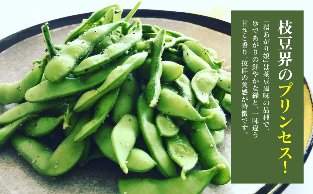 【先行予約】 熊本県八代市産枝豆 [湯あがり娘（茶豆風味）] 3kg 【2025年6月下旬より順次発送】