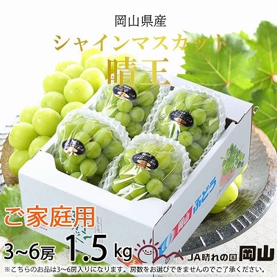 【2025年8月より発送】ご家庭用　岡山県産　シャインマスカット　晴王　1.5kg(3～6房)【配送不可地域：離島】