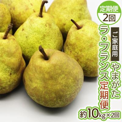 ふるさと納税 山形市 【定期便2回】ご家庭用 やまがたラ・フランス10kg×2回【令和8年産】FS25-750