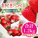 【ふるさと納税】 【先行予約】 【2025年1月以降順次発送】 いちご 紅ほっぺ 約1.2kg (約300g×4パック) 冷蔵 国産 徳島県 朝どれ 1kg 以上 甘い 大粒 苺 徳島県産 徳島 小松島 期間限定 数量限定 産地直送 フレッシュ イチゴ フルーツ 果物 ふるさと人気 人気いちご