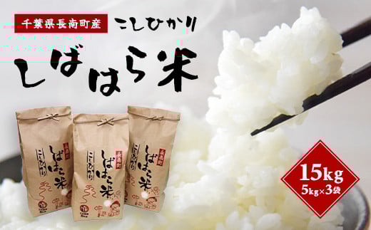 【9月中旬発送開始】【新米】令和7年産 千葉県産コシヒカリ「しばはら米」【精米】15kg（5kg×3） CNA002