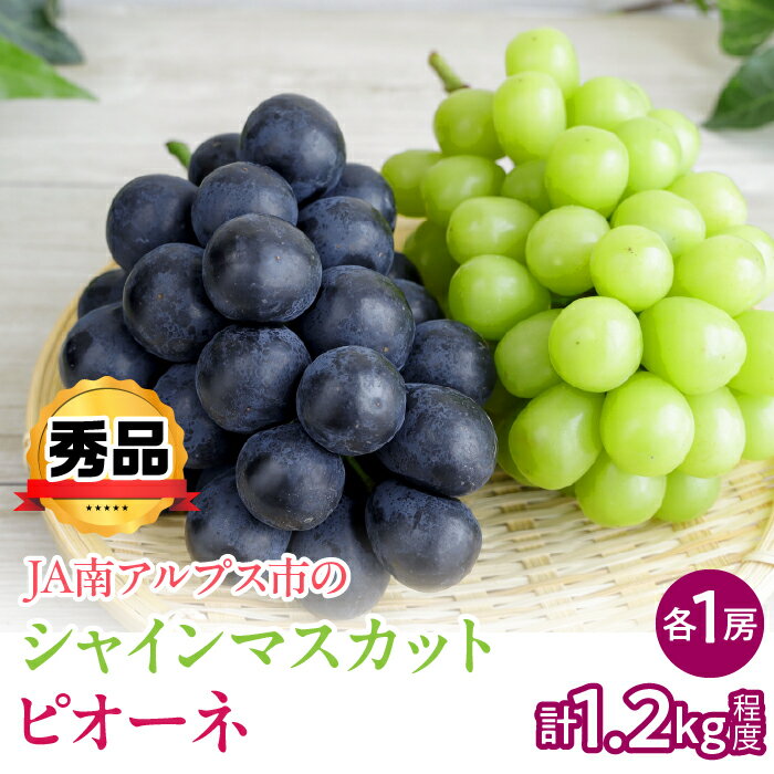 【ふるさと納税】 【2025年度先行予約】シャインマスカットとピオーネ 約1.2kg(各1房) 秀品 ふるさと納税 ぶどう 葡萄 果物 フルーツ おすすめ 山梨県 南アルプス市 送料無料 ALPAA053