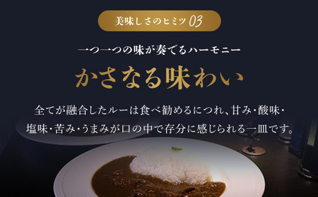 無添加【但馬牛濃厚とろすじカレー】(小箱入り175g×10箱) カレー 但馬牛カレー 濃厚カレー とろすじカレー 京都府 福知山市 FCDA003