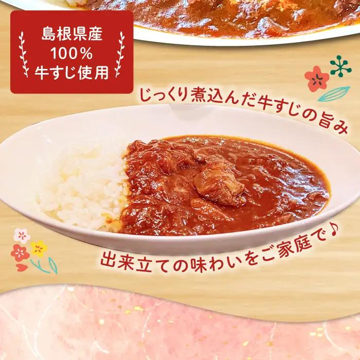 牛すじトロトロハヤシ 5個セット【ハヤシライス 5個 1食 200g レトルト食品 レトルトハヤシ レトルト 長期保存 すじ肉 牛肉 詰め合わせ セット 備蓄用 災害備蓄 島根県 大田市】