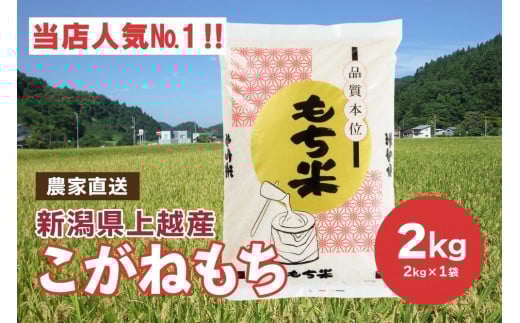 ブランドもち米「 こがねもち 」令和6年産 新潟県産／【精米2kg×1袋】 コガネモチ 米 お米 こめ新潟 上越