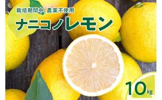 【2025年12月下旬～発送】ナニコノレモン 10kg ku149-003-25