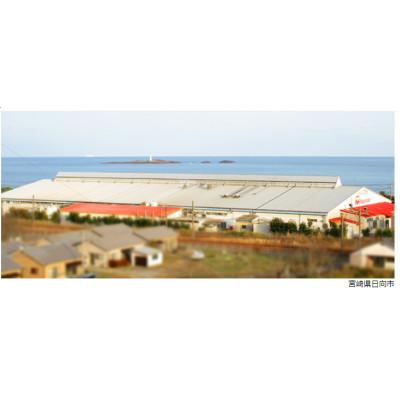 ふるさと納税 日向市 とろけたま角煮105g |  | 01