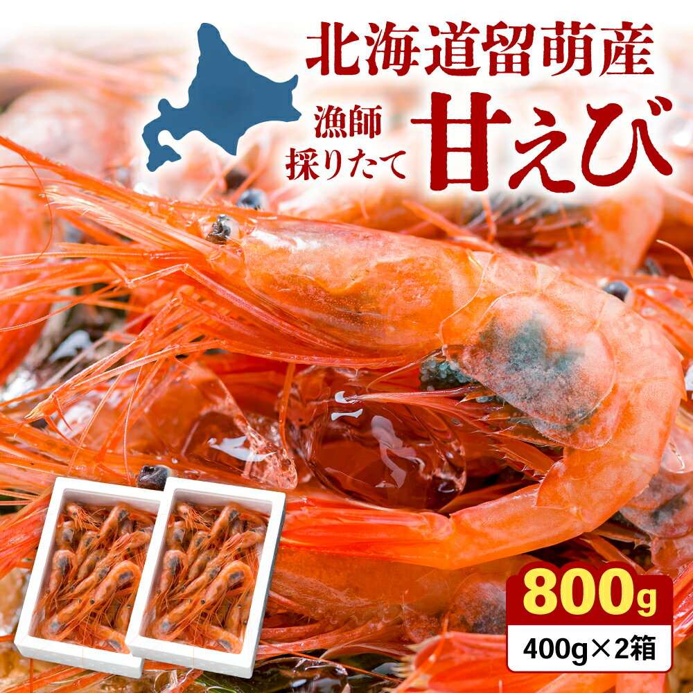 【ふるさと納税】甘エビ 北海道 漁師採りたて 甘えび 400g×2箱 留萌産 あまえび 甘海老 海老 エビ 南蛮エビ つまみ おつまみ ご飯のお供 おかず 海鮮 海産物 海の幸 魚介 魚介類 刺身 お刺身 刺し身 さしみ 天ぷら 冷凍 留萌
