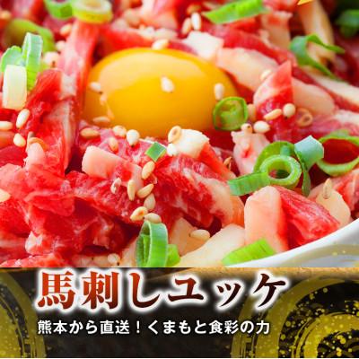ふるさと納税 水俣市 熊本直送　馬刺しブロック肉　上霜降り(トロ)980g+馬肉ユッケ100g(水俣市) |  | 01