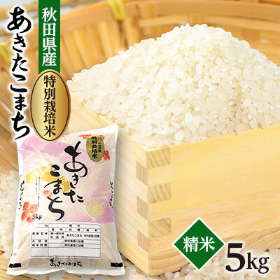 【ふるさと納税】令和7年産　特別栽培米あきたこまち5kg(白米)【配送不可地域：離島・沖縄県】【1670573】
