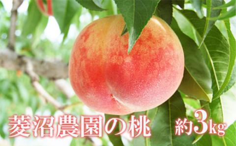 No.2408菱沼農園　福島 桃　3kg【2024年発送】