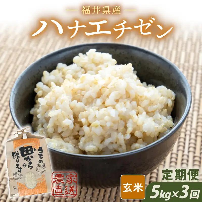 【先行予約】【令和8年産・新米】定期便 ≪3ヶ月連続お届け≫ ハナエチゼン5kg×3回 計15kg ～本原農園からまごころコメて～（玄米）【2026年9月上旬以降順次発送予定】 [C-8965_02]