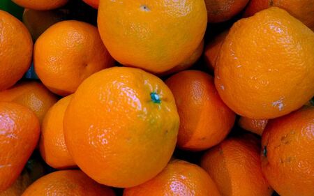 【訳あり】 森本農園の手選別 ポンカン約2kg 和歌山県産 サイズ混合 【2026年1月上旬～2月上旬頃に順次発送】【mrmt013】