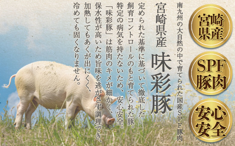 ＜豚バラしゃぶプレミアム 約1.2kg＞ 国産 豚肉 ぶたにく お肉  焼き肉 ブタ しゃぶしゃぶ  使いやすい 小分け パック 真空冷凍 お弁当 ジューシー 肉質 柔らかい 上品 豊かな味わい 味彩