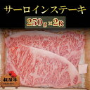 【ふるさと納税】松阪牛サーロインステーキ 250g×2枚　松阪牛 肉 牛肉 和牛 高級肉 ステーキ ステーキ肉 サーロイン 500g ギフト グルメ お取り寄せ 贈答 お祝い 内祝い お返し 三重県 津市　お届け：12月26日〜1月6日は配送対応不可