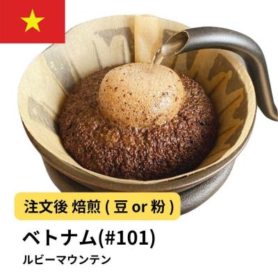 ふるさと納税 堺市 【豆】コーヒー #101 ルビーマウンテン (ベトナム アラビカ) 310g