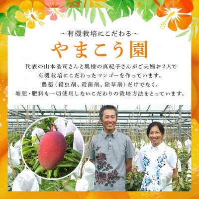 【有機JAS認証】オーガニックマンゴー2kg(4～5玉)【配送不可地域：離島】