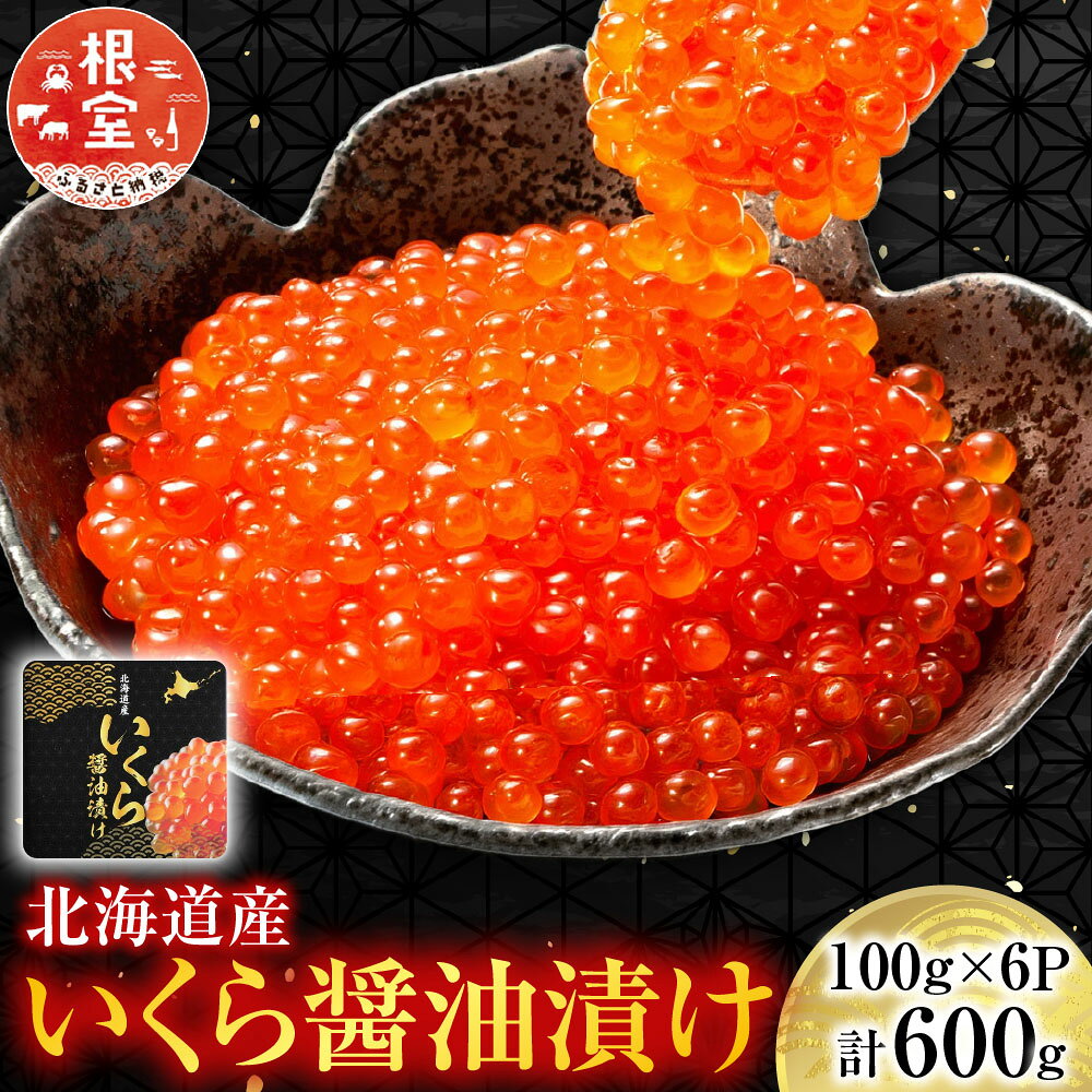【ふるさと納税】 秋鮭いくら 100g × 6P ( 計 600g ) イクラ 醤油 醤油漬 醤油漬け 魚卵 鮭卵 鮭 さけ サケ しゃけ シャケ 魚 さかな サカナ 秋鮭 秋ざけ 秋ザケ あきざけ アキザケ グルメ 海鮮小分け 北海道 根室市 D-24001