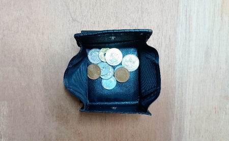 ☆世界にひとつだけ☆　わんこの二つ折りコンパクト財布　☆オレンジ☆ 財布 お財布 二つ折り